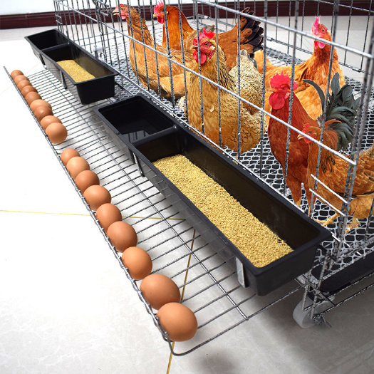 东阳市鸡笼家用大号特大养鸡笼鸡鸭养殖笼狗笼加粗加密兔笼子折叠鸡笼