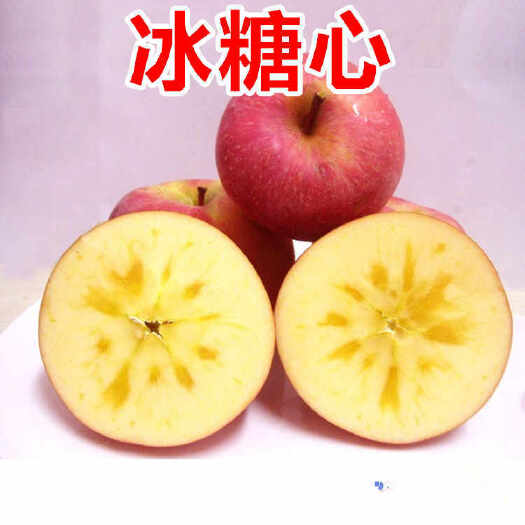 绛县 苹果苗烟富8苹果苗烟富0苹果树苗苹果树