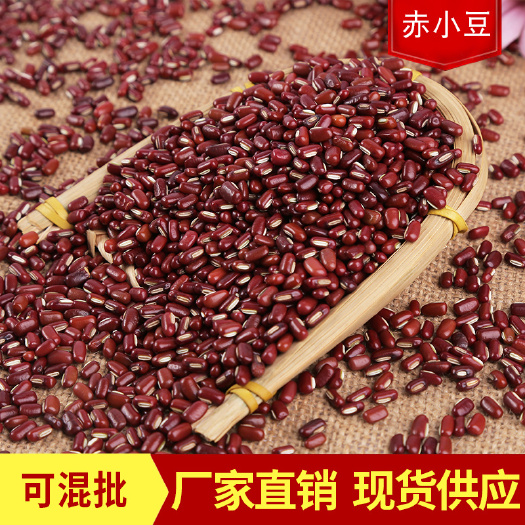 临沂批发赤小豆 农家长粒赤小豆红饭豆 非红小豆类粗粮 五谷红赤
