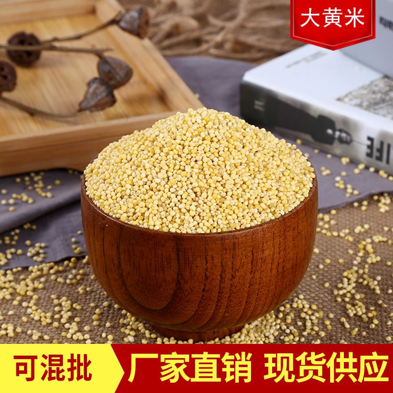 临沂大黄米批发 农家黄糯米 粘黄米去壳黍子米黄糯小米五谷杂粮袋