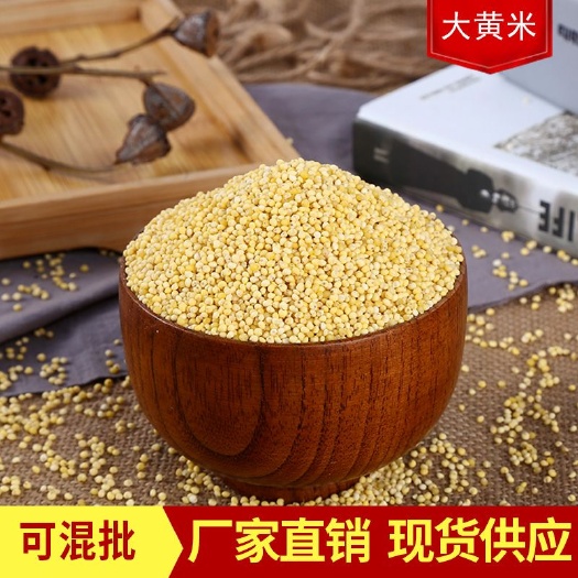 临沂大黄米批发 农家黄糯米 粘黄米去壳黍子米黄糯小米五谷杂粮袋