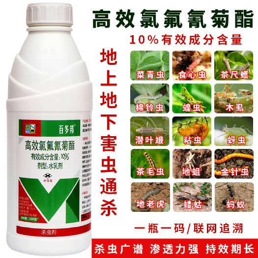 新沂市10%高效氯氟氰菊酯果树蔬菜花卉菜青虫蚜虫潜叶蛾农药杀虫剂