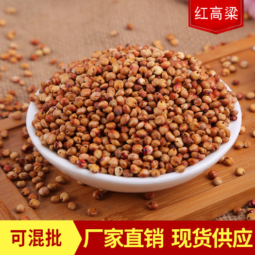 临沂批发东北红高粱 酿酒醋高粱鸽饲料五谷杂粮带皮红高粱袋装现货