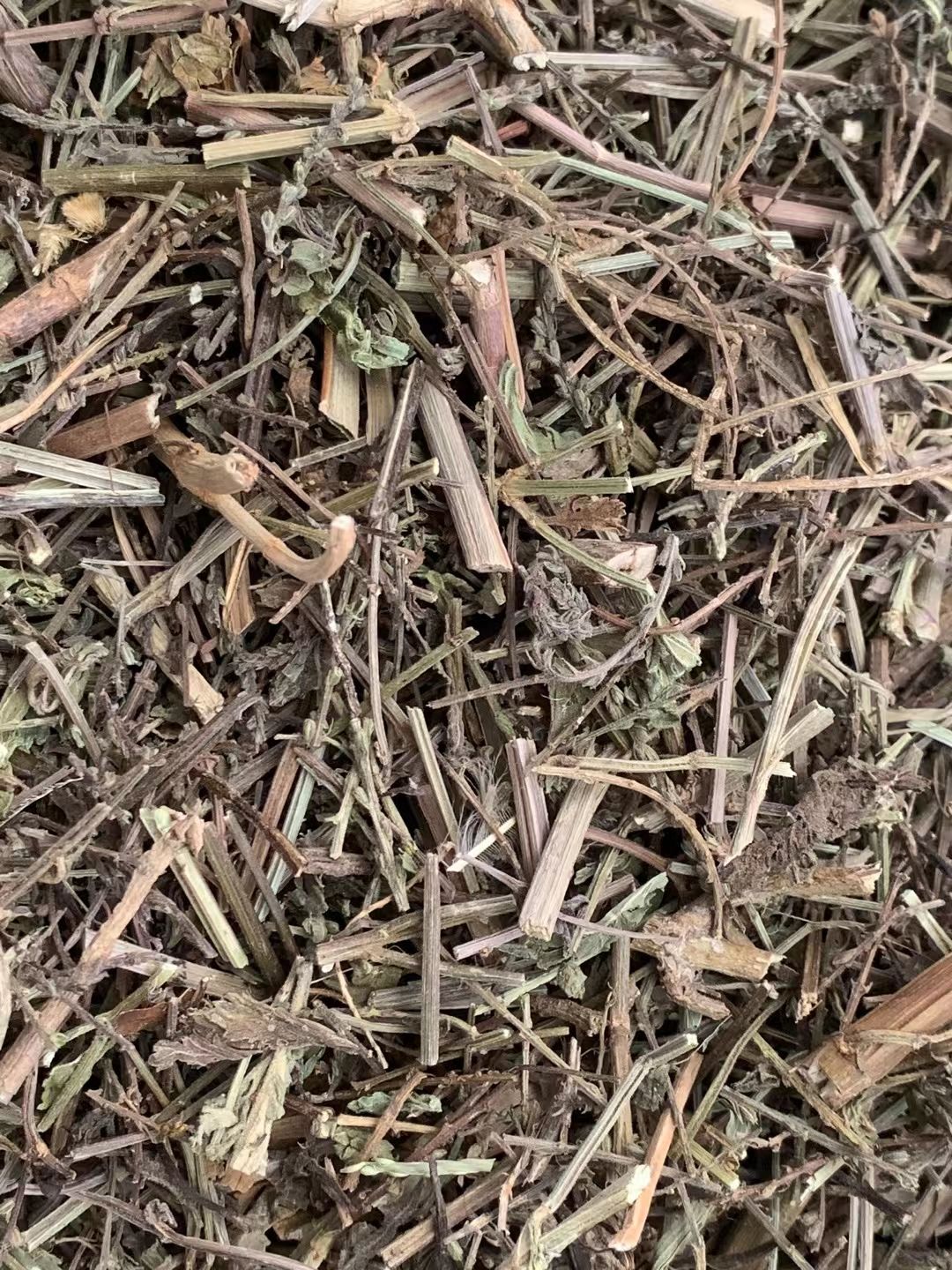 长期供应｛马鞭草｝可批量可零售量大从优【包邮】