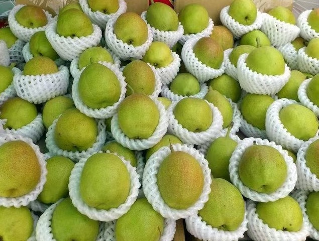  梨库尔勒香梨