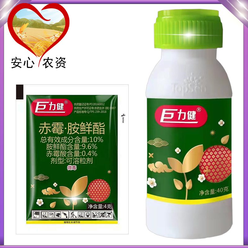 巨力健赤霉酸胺鲜酯大白菜调节生长植物生长调节剂