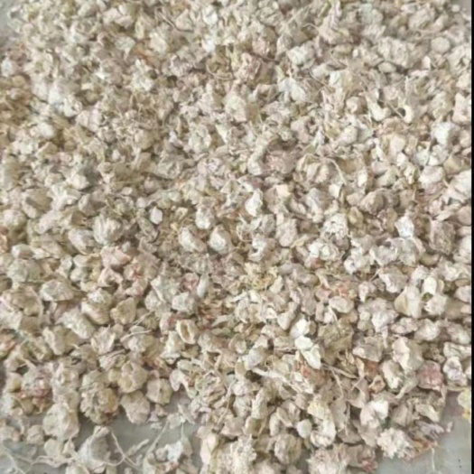 高台县玉米芯颗粒