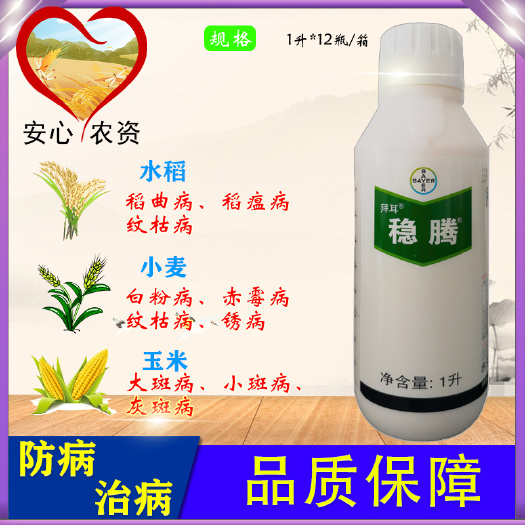 稳腾肟菌酯戊唑醇赤霉病纹枯病锈病大斑病小斑病稻瘟稻曲杀菌剂