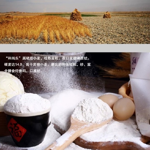 景泰县全麦粉 和尚头面粉