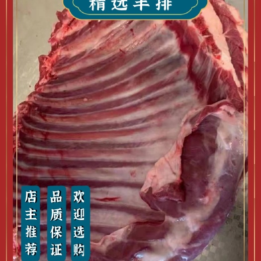 阳信县精选羊排 新鲜羔羊羊排冷冻精修羊肋排