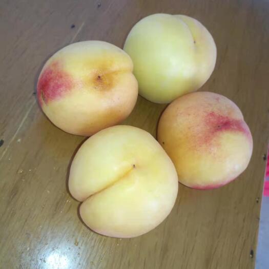 赤壁市 天然有机黄金蜜0号优质黄桃