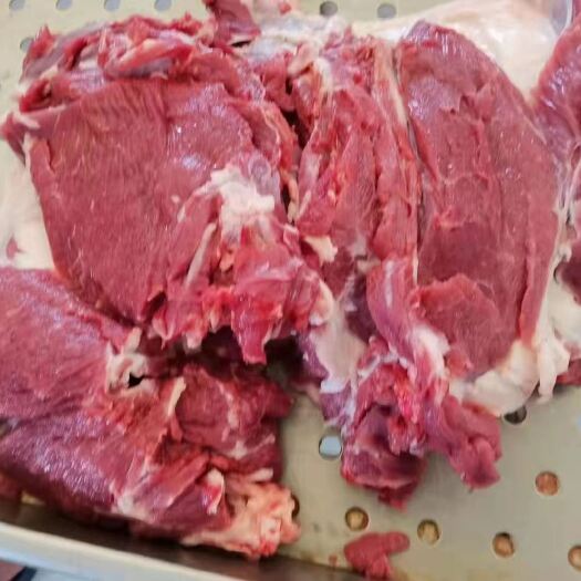 大连羊腿肉 羊后腿包肉，无调理，纯干，内蒙大羔羊，去骨。