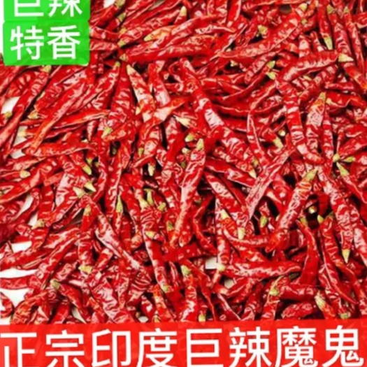 滕州市印度干辣椒 特辣魔鬼椒干度好，免费加工段面，24小时发货