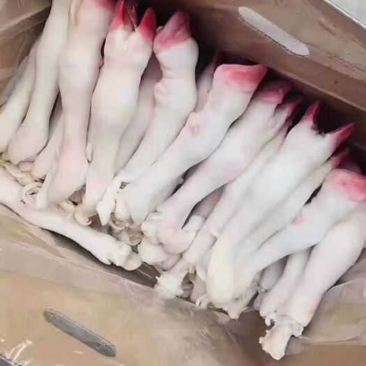 大连无抽筋，水退羊蹄，育肥羊，规格2/4个一斤。