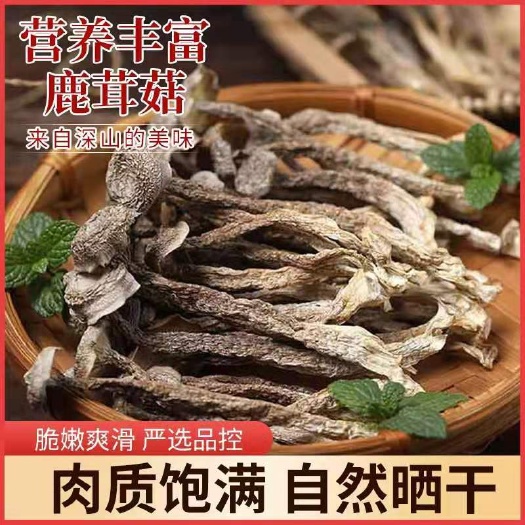 古田县新货鹿茸菇福建土特产鹿茸菇干货无熏硫香菇干货煲汤炒菜香
