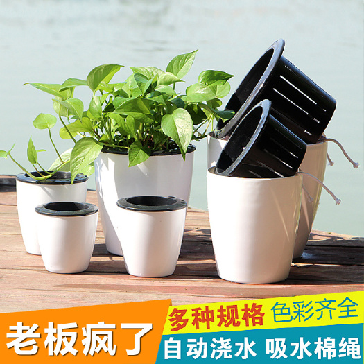 沭阳县懒人花盆自动吸水绿萝用懒人盆阳台优惠吊兰水培自吸盆塑料吸水