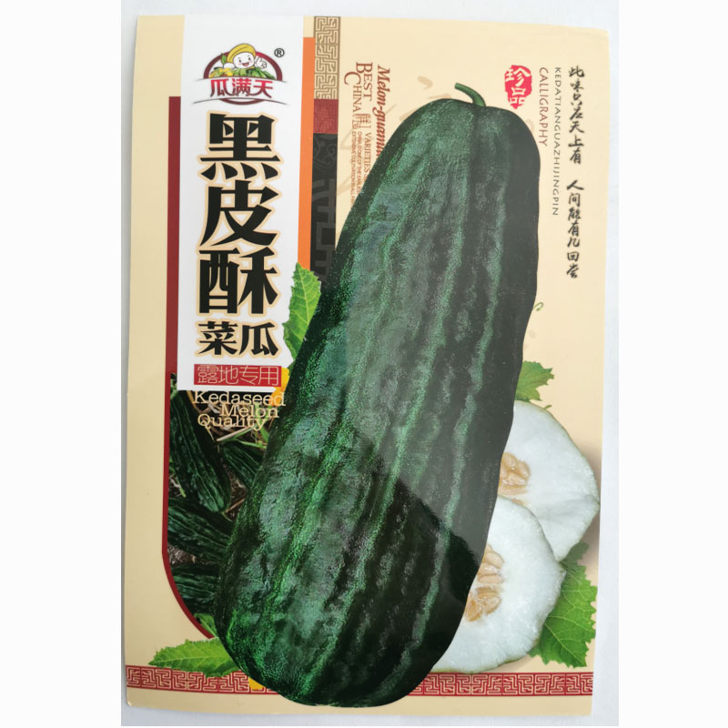 济南菜瓜种子  黑皮棱子酥种子六棱酥烧瓜脆瓜菜瓜籽生吃腌菜凉拌露天大棚水果种