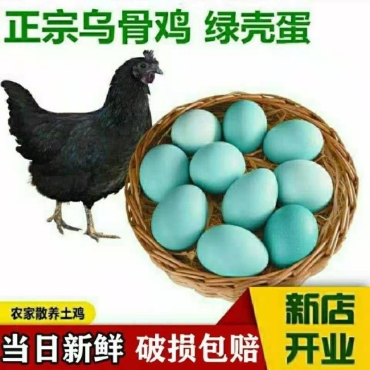 荆门乌鸡蛋精选新鲜农家散养乌鸡绿壳土鸡蛋草鸡蛋批