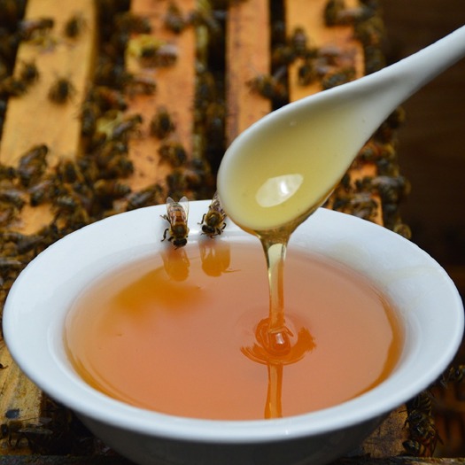 西安 自家产的百花蜜 蜂蜜天然土蜂蜜深山百花蜂蜜正品