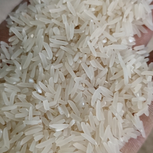新兴县象牙香粘米，饭味浓香营养高没抛光没打蜡，吃得健康