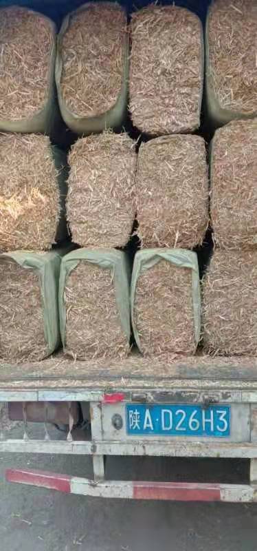 富平县小麦秸秆 牛羊草麦秸质量好