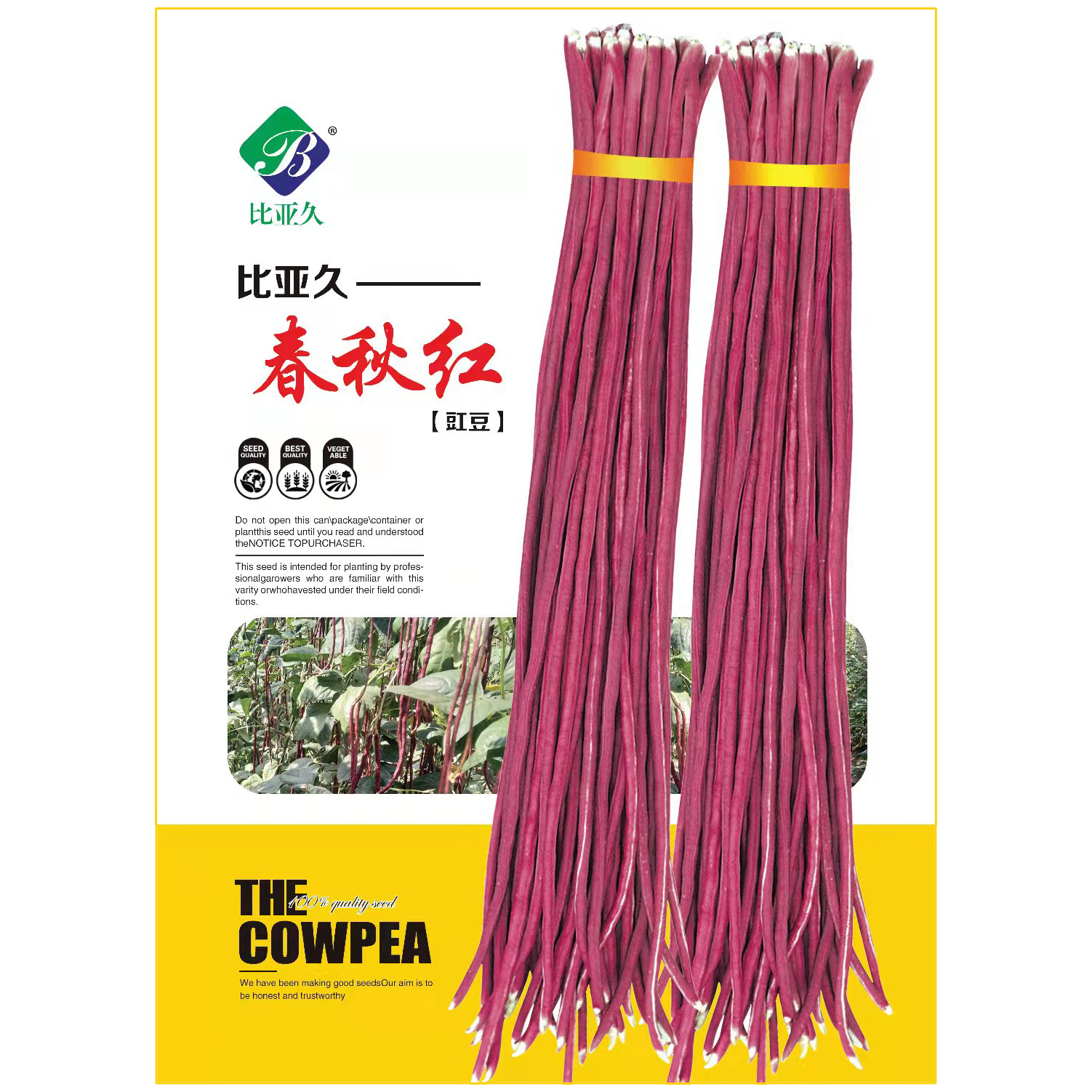 宜昌豆角种子春秋红豇豆种子 中早熟长势强商品性好荚紫红色