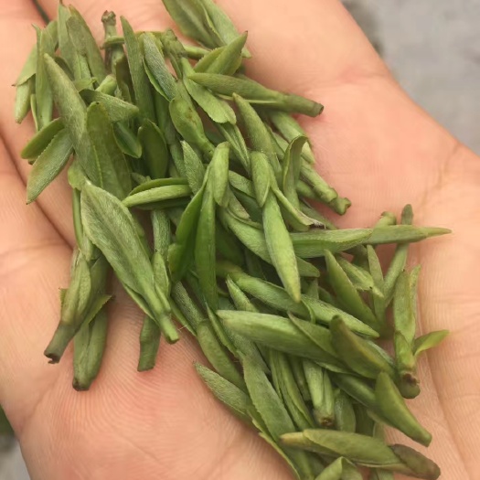 杭州 50年以上树龄高山龙井茶，自有茶山，明前龙井可预定！