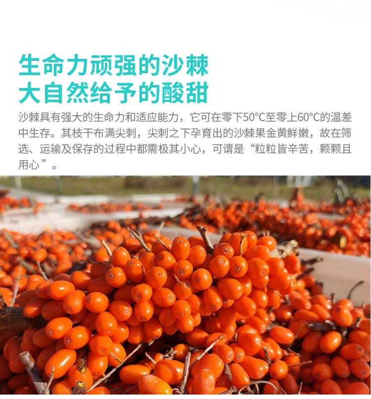 沙棘油  沙棘果油/沙棘籽油