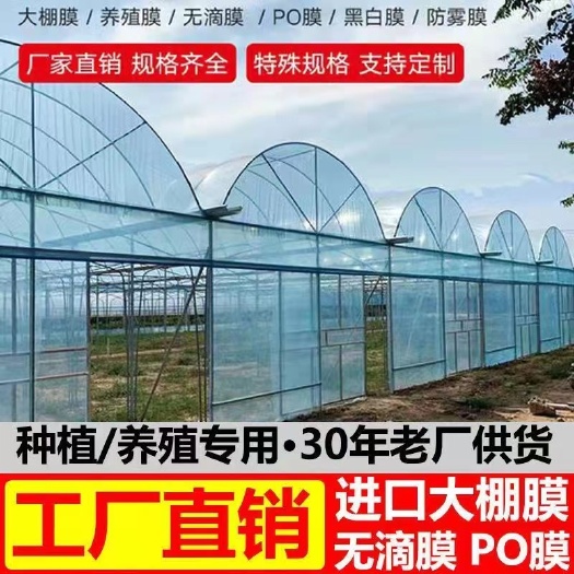 青州市大棚膜无滴膜 消雾加厚薄膜 保温透明加厚种植塑料膜