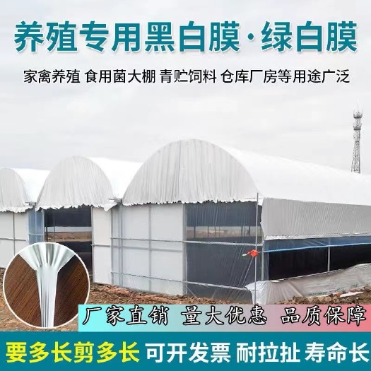 黑白膜加厚养殖大棚黑白膜反光隔热防晒塑料布食用菌绿白膜