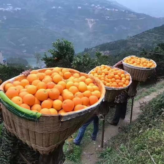 秭归县 搬运工，物流，快递，外卖送餐等等