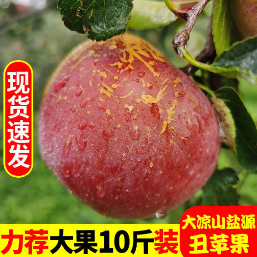 昭觉县丑苹果  冰糖心丑苹果水果新鲜苹果红富士应当季整