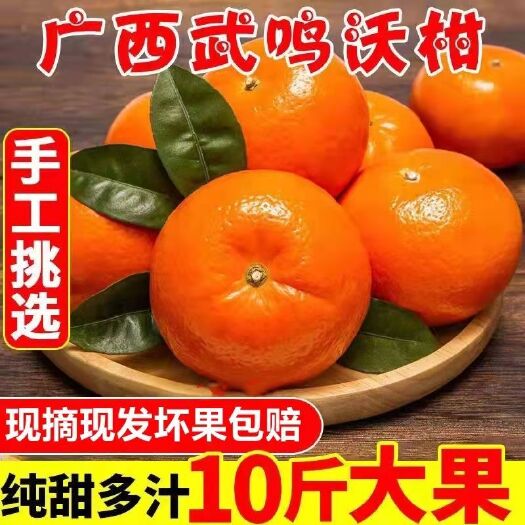 南宁广西武鸣沃柑当季水果甜蜜多汁新鲜现摘新鲜水果国产沃柑包邮