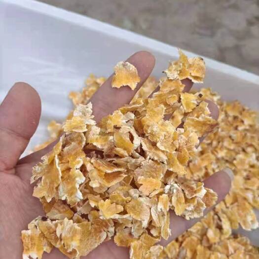 肇东市压片玉米 东北玉米压片