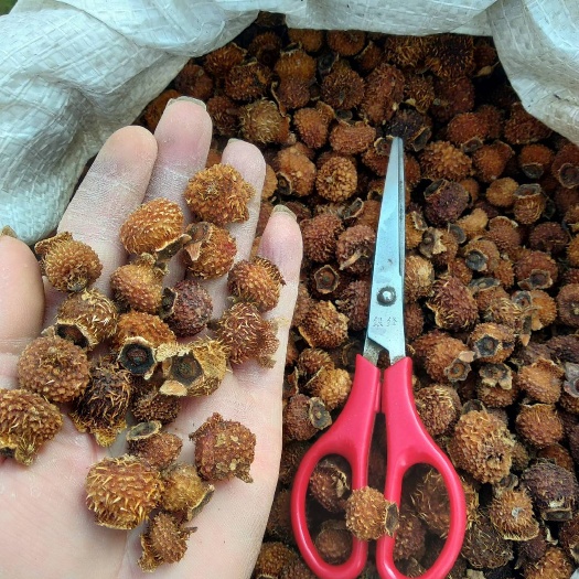 石阡县贵州铜仁非种植无硫去刺干刺梨干无杂质物美价廉产地直发一手货源