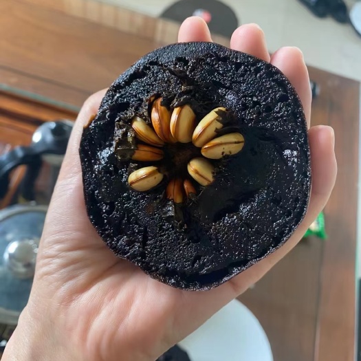 灵山县黑柿苗 巧克力布丁 黑柿苗，耐寒品种