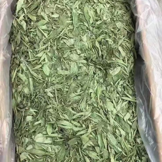 明光市 甜叶菊茶叶