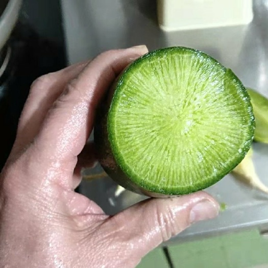莱西市青萝卜   水果萝卜