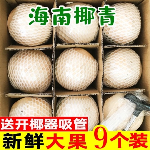 文昌市【精选大果】当季海南椰青新鲜椰子青椰水果椰子去皮椰青批发