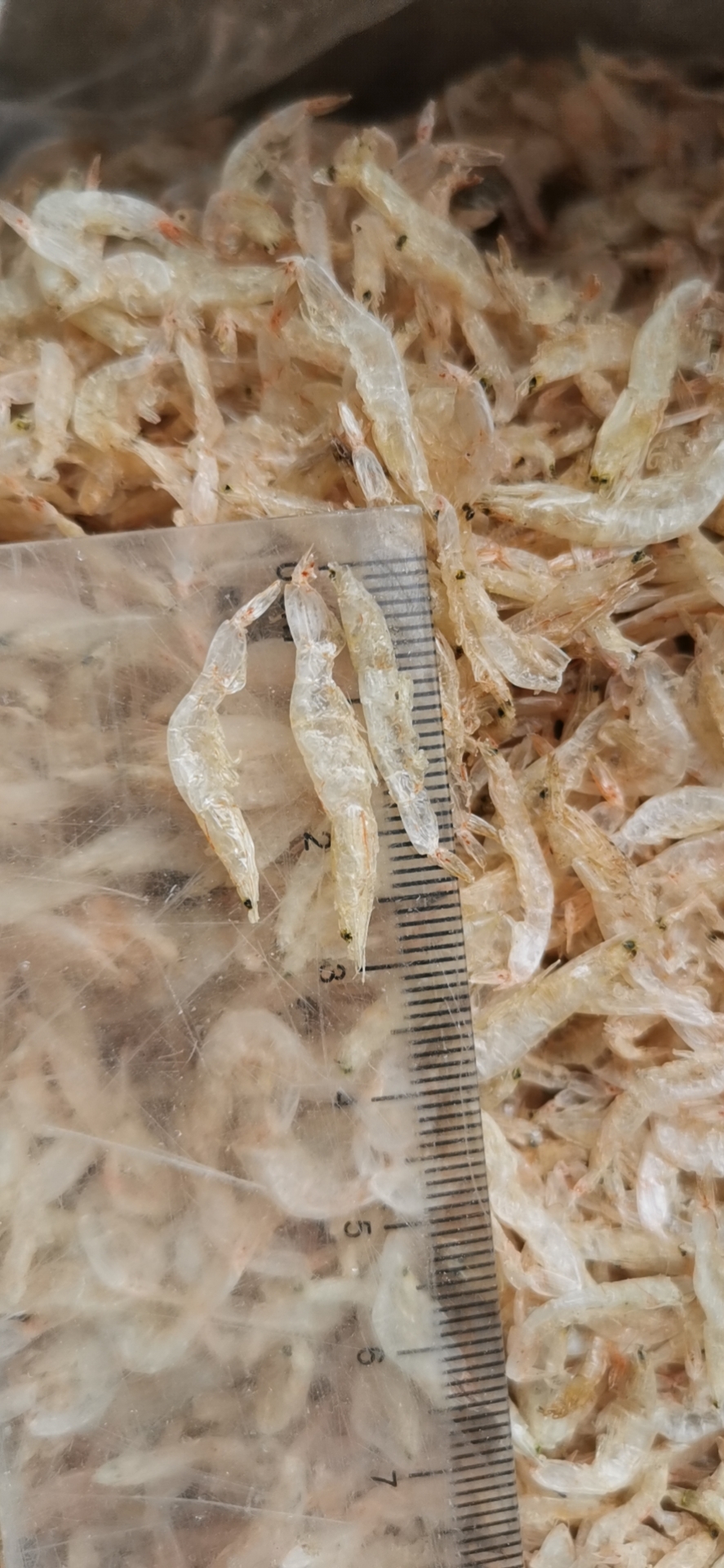 越南虾皮物流发货-虾皮越南站拒收率很高吗