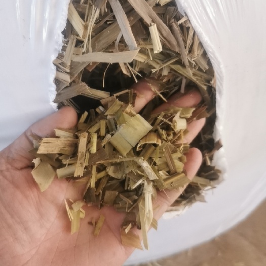 耿马县蔗尾青贮 牛羊青贮饲料