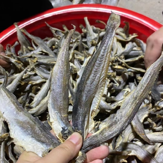 成都新到小龙鱼 鱼干泡江湖地摊一手货源现货销售