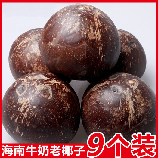文昌市海南牛奶黑椰子黑椰皇椰王老椰子椰奶冻椰子鸡汤煲汤可喝整箱包邮