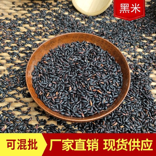 临沂批发黑米 新货长粒黑香米农家黑大米五谷杂粮黑米粥量大从优袋