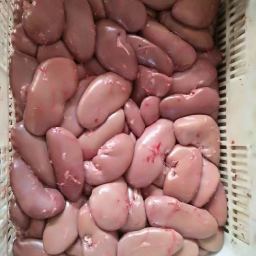 哈尔滨猪腰子 腰子