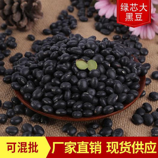青仁黑豆 绿芯大黑豆新货批发 青仁大黑豆绿心五谷杂粮乌黑豆新