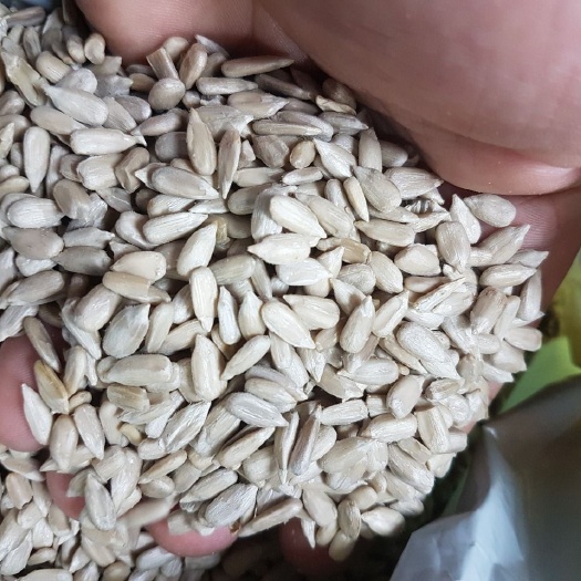  瓜子仁 俄罗斯精选葵花籽仁