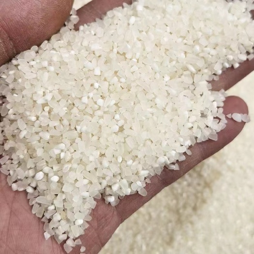 碎米大量现货 酿酒用碎米 饲料米半碎米粥米新货米袋装25k