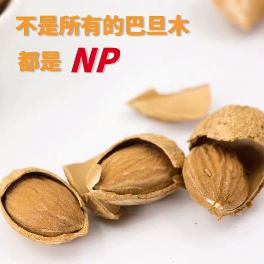 台州巴旦木 新疆特产阿克苏直发