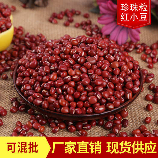 临沂珍珠粒红小豆批发 红豆小粒新货 小红豆农家五谷杂粮袋装红小豆